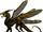 Antlion (S5127051)