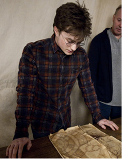 Harry Check Shirt Harry Check Shirt