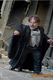 Filius Flitwick battle