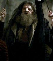 Hagrid12