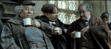Flitwick Sprout Slughorn.jpg