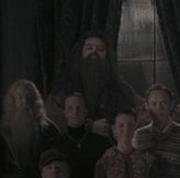 Hagrid4