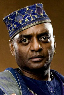 Kingsley-shacklebolt-1.jpg