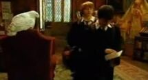 Harry with the letter