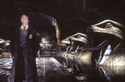 Harry In Chamber