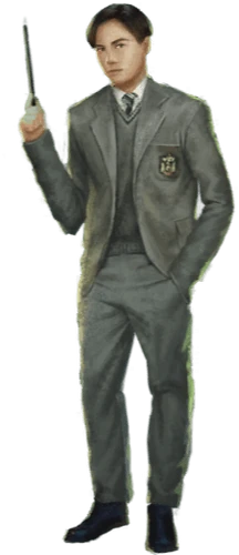 Tom Riddle | Harry Potter: Wizards Unite Wiki | Fandom