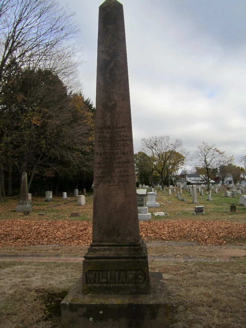 Solomon Williams – HiLite, image size:810x1080