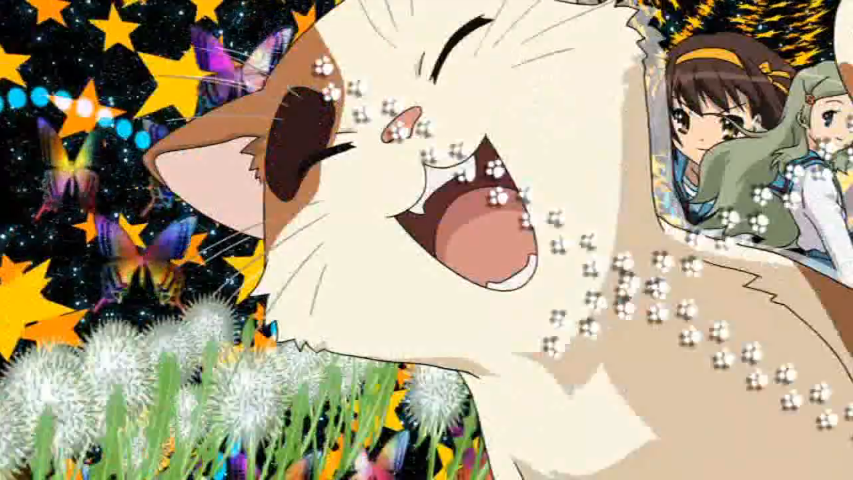Shamisen Haruhi Wiki Fandom Shamisen Haruhi Wiki Fandom