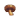 Straw Mushroom