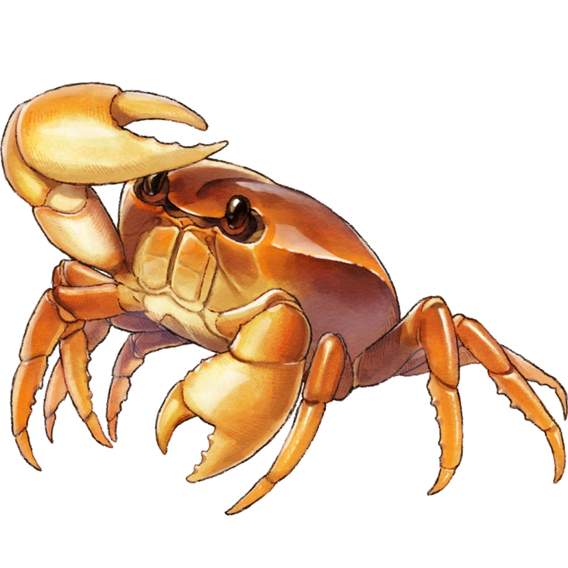 Quotidicrab Harvestella Wiki Fandom