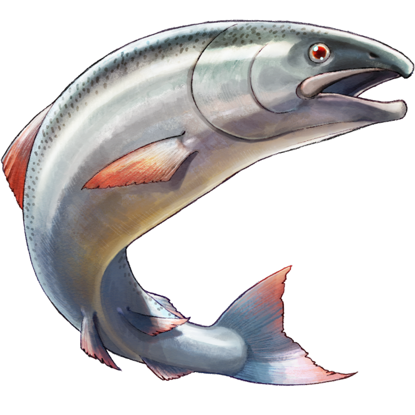 Golden Egg Salmon Harvestella Wiki Fandom