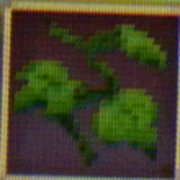 rune factory 4 sale