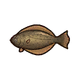 RF5 Flounder.png