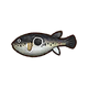 RF5 Blowfish.png