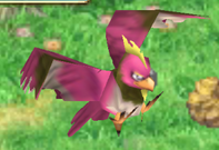 Weagle