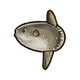 RF5 Sunfish.png