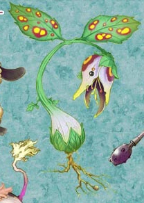 Flower Blossom | Rune Factory Wiki | Fandom