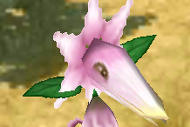 Flower Lily | Rune Factory Wiki | Fandom