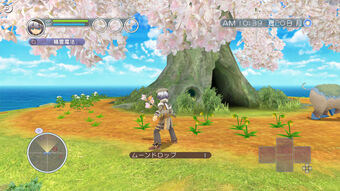 rune factory oceans