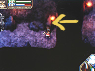 Fest Treasure Hunt.png