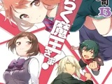 Light Novel Volume 13