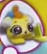 Yellow Mer-Puppadee (Common)