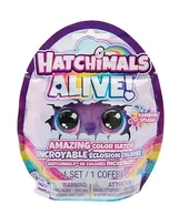 Static-assets-upload951343805031........png (194 KB) one pack