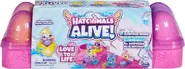 Hatchimals-Alive-Carton.webp (33 KB) pink carton