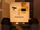 Warden (Minecraft Story Mode)