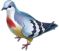 Anghel (bird)