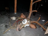 The hidden Max head.