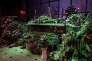 Haunted-Mansion-50-Years-2