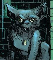 Marvel Werecat Lady2