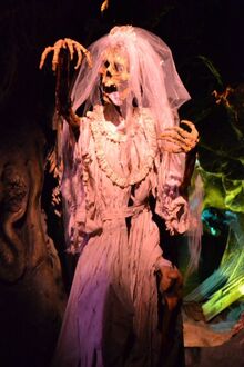 Catacombs