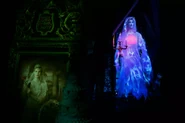 The 2025 Disneyland Bride