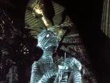 Mummy