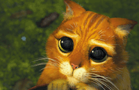 PussInBoots.gif