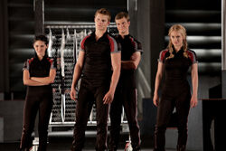Hunger Games1.jpg