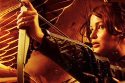 Catching fire.jpg