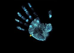 Hand.jpg