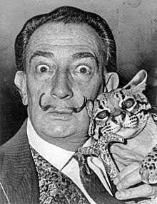 Dali Maske Haus Des Geldes Wiki Fandom