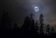 Creepy foggy moon