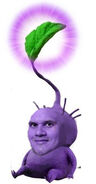 I feel like a purple pikmin