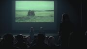Cinematheque.jpg