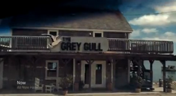 Grey Gull.png