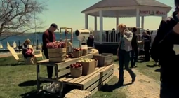Haven Farmer's market.png
