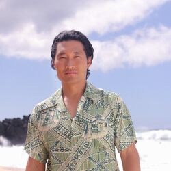 Hawaii Five O Wiki Fandom