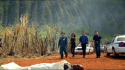 Max, Kono, Steve and a HPD officer at the crime scene.