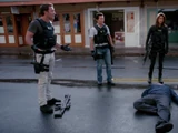 Hookman (2010 episode)