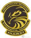 Tom-Clancy-HAWX-Patch.jpg